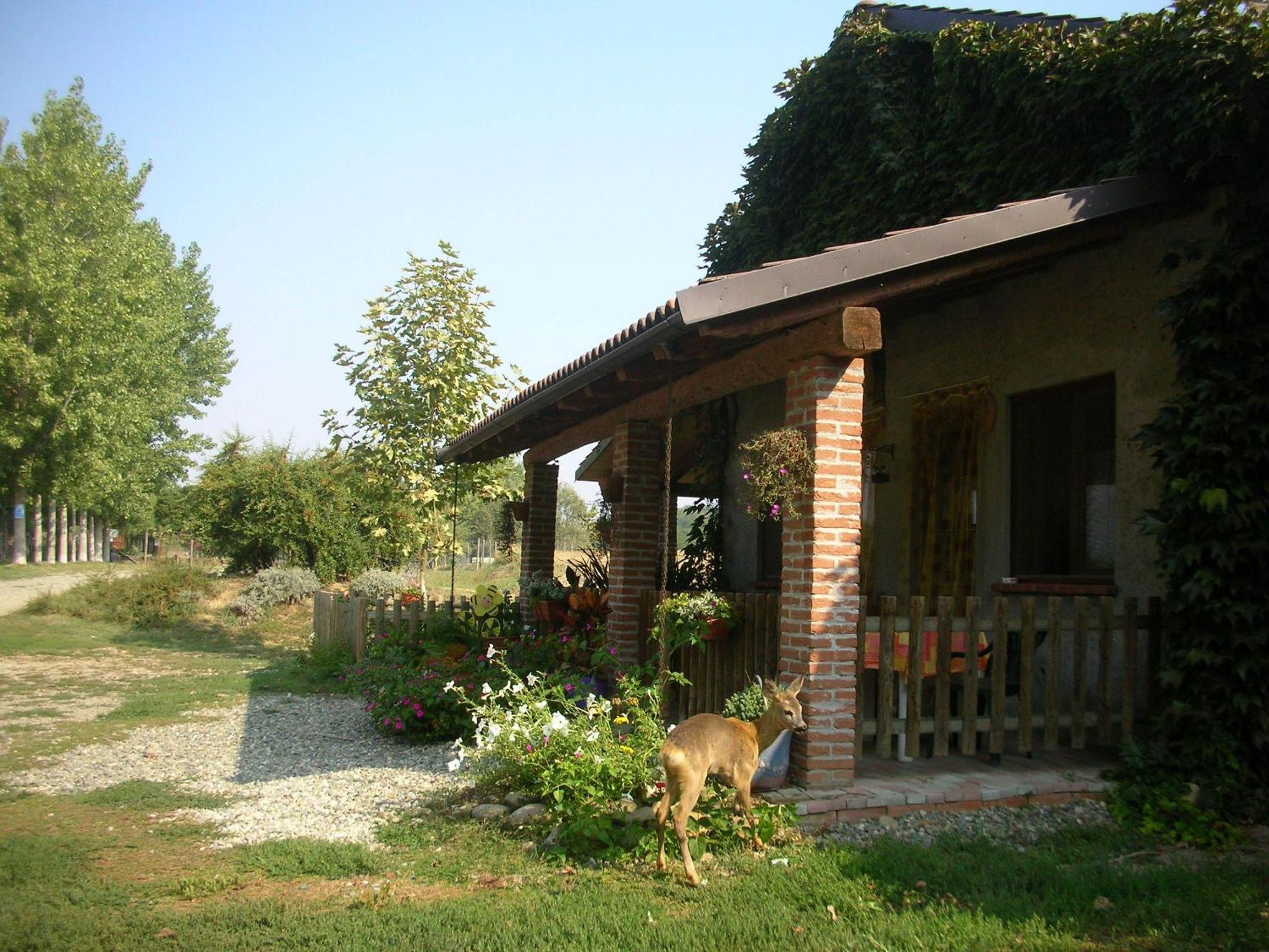 Cascina Beneficio Villa Castelnuovo Bormida Екстериор снимка
