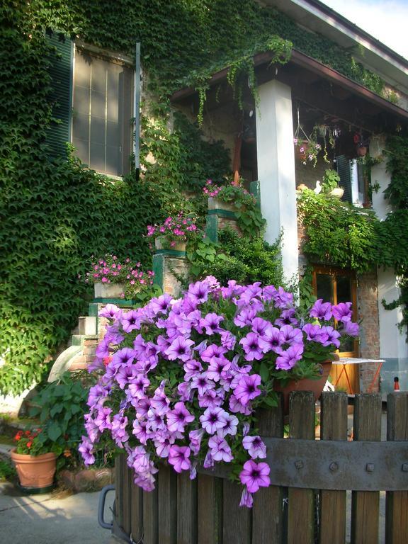 Cascina Beneficio Villa Castelnuovo Bormida Екстериор снимка